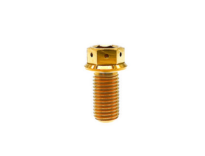 Titanium bolt M10x10 15 20 25 30 35 40 45 50 55 60 65 70 75 80 85 90mm Flange Hex Head bolt with Small Holes,Pitch 1.25mm,by Tianswer