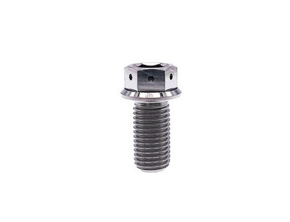 Titanium bolt M10x10 15 20 25 30 35 40 45 50 55 60 65 70 75 80 85 90mm Flange Hex Head bolt with Small Holes,Pitch 1.25mm,by Tianswer