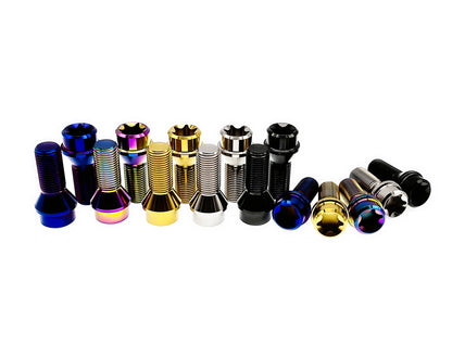 Titanium M12 conical seat lug bolts grouped in two rows of anodized colors
