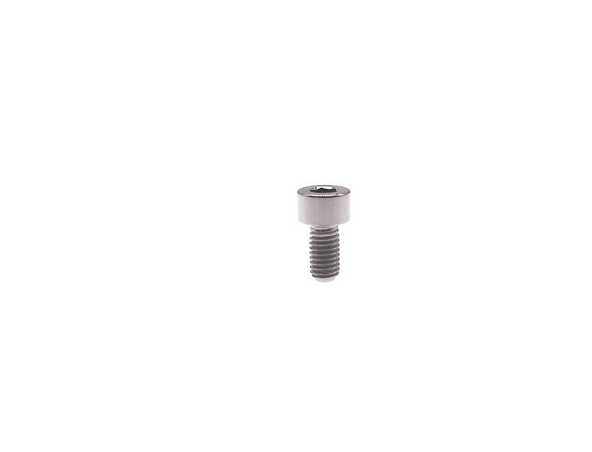 Natural titanium M5 DIN912 socket cap screw with cylindrical head and hex socket