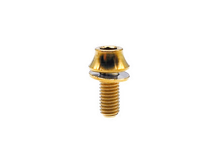 Titanium Bolt M5x12 15mm Hex Socket Head screw for bicycle bottle holder,Pitch 0.8mm, by Tianswer