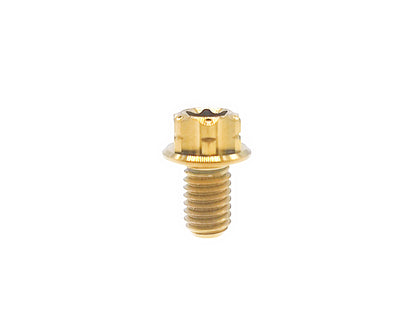 Titanium bolt M6x10 15 20 25 30 35 40 45 50 55 60 65 70mm Flange Torx T30 Head Screw for Bicycle and Motorcycle ,Pitch 1mm,by Tianswer