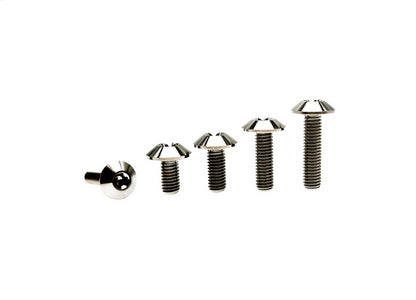 Natural titanium M6 umbrella head Torx screws in five lengths with polished heads