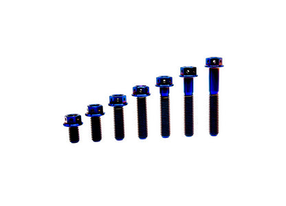 Burn Blue titanium M8 flange hex head bolts with wire holes in seven lengths