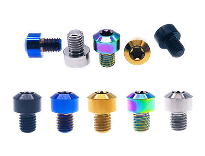 Titanium Bolt M8x10 15 20 25 30 35 40 45 50 55 60 65 70 75 80 85 90mm Chamfered column Torx head Screw for Motorcycle, Pitch 1mm,  by Tianswer