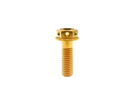 Titanium Bolt M8x10 15 20 25 30 35 40 45 50 55 60 65 70mm Drilled Hex Head Flange Bolts for car hub Motorcycle,Pitch 1.25mm,by Tianswer
