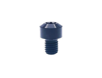 Titanium Bolt M8x10 15 20 25 30 35 40 45 50 55 60 65 70 75 80 85 90mm Chamfered column Torx head Screw for Motorcycle, Pitch 1mm,  by Tianswer