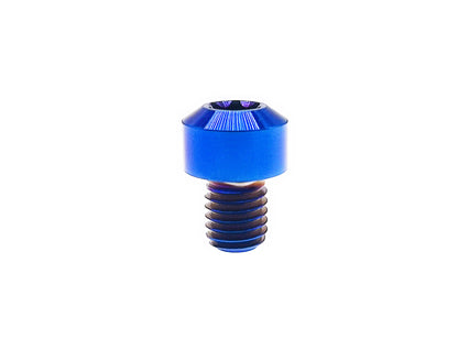 Titanium Bolt M8x10 15 20 25 30 35 40 45 50 55 60 65 70 75 80 85 90mm Chamfered column Torx head Screw for Motorcycle, Pitch 1mm,  by Tianswer
