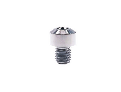 Titanium Bolt M8x10 15 20 25 30 35 40 45 50 55 60 65 70 75 80 85 90mm Chamfered column Torx head Screw for Motorcycle, Pitch 1mm,  by Tianswer