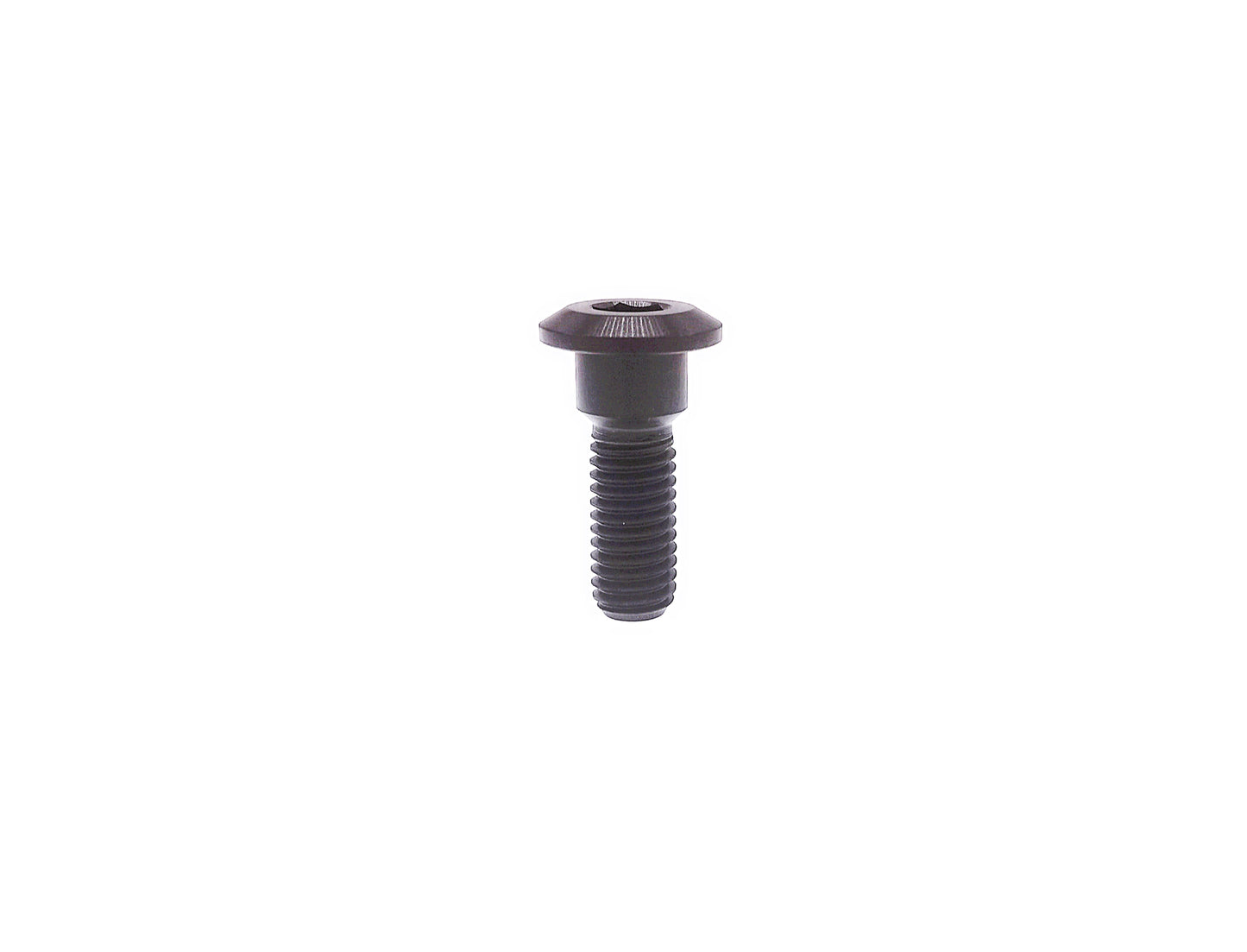 Titanium Bolt M8x20 22 25 30 35 40mm Hex Socket Head Screws for Motorcycle Suzuki Yamaha Disc Brake ,Pitch 1.25mm , by Tianswer