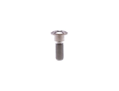 Titanium Bolt M8x20 22 25 30 35 40mm Hex Socket Head Screws for Motorcycle Suzuki Yamaha Disc Brake ,Pitch 1.25mm , by Tianswer