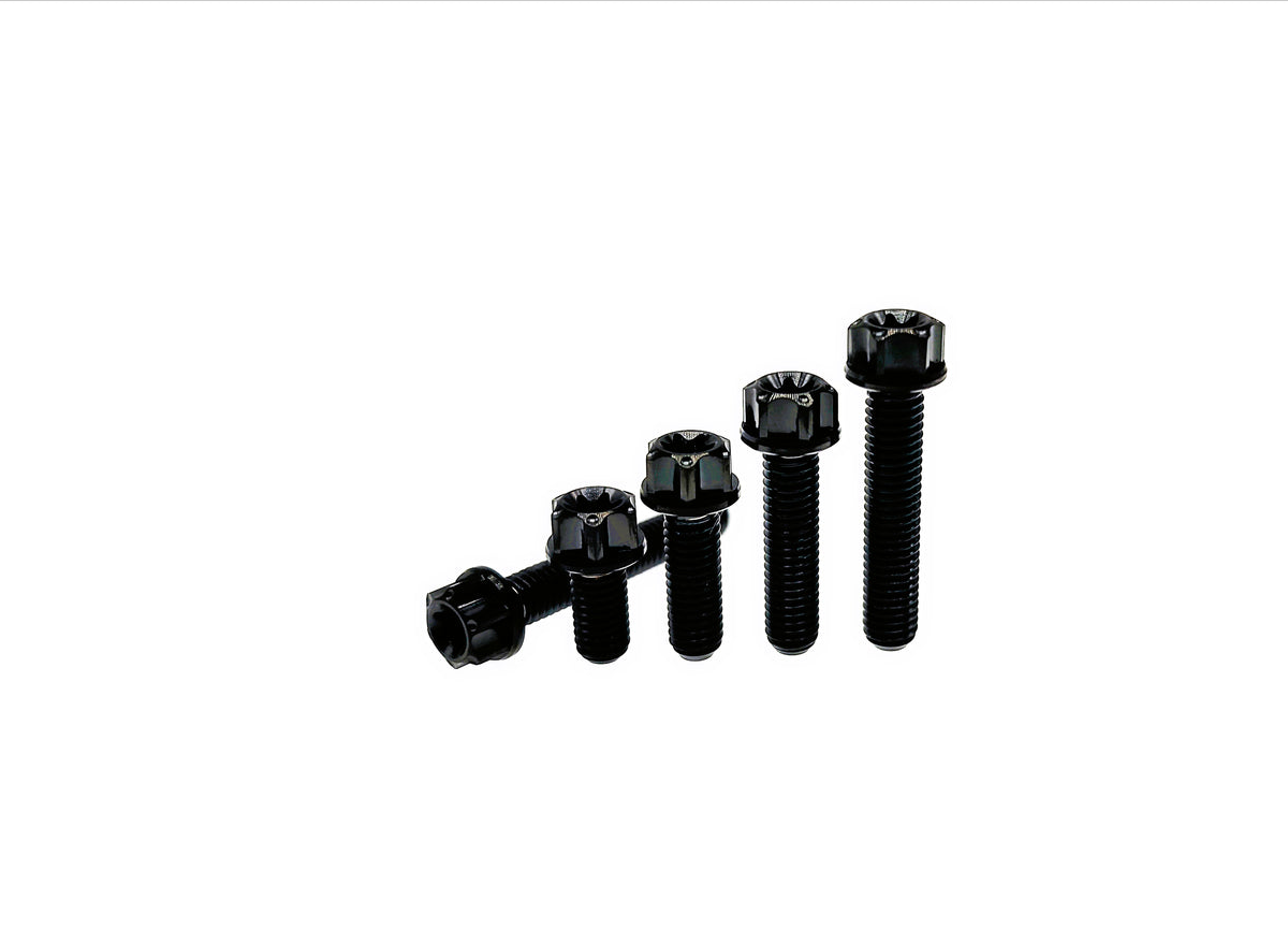 Black titanium M5 flange Torx head bolts, five lengths for pump covers