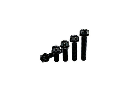 Black titanium M5 flange Torx head bolts, five lengths for pump covers