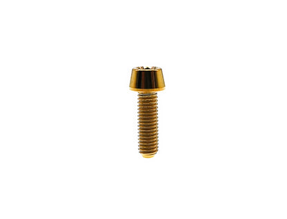 Gold anodized titanium M5 tapered head hex socket cap bolt for bicycle